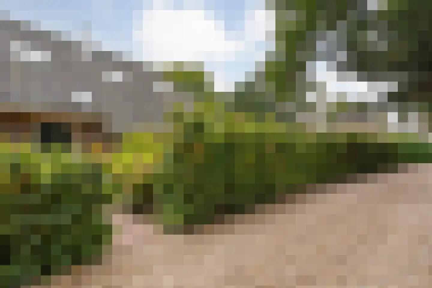 Van Rielstraat 17 Zwolle thumbnail 66