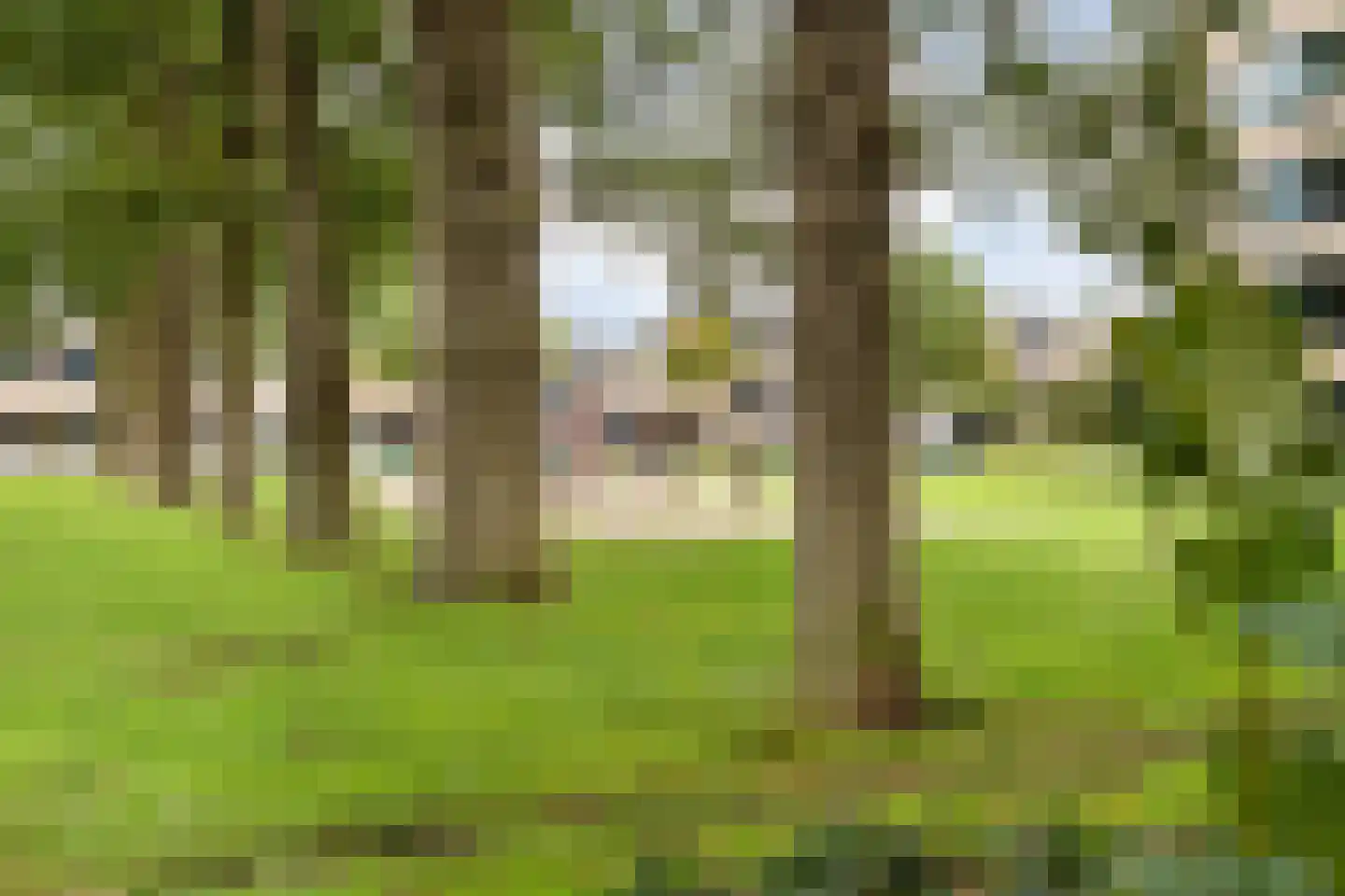 Van Rielstraat 17 Zwolle thumbnail 68