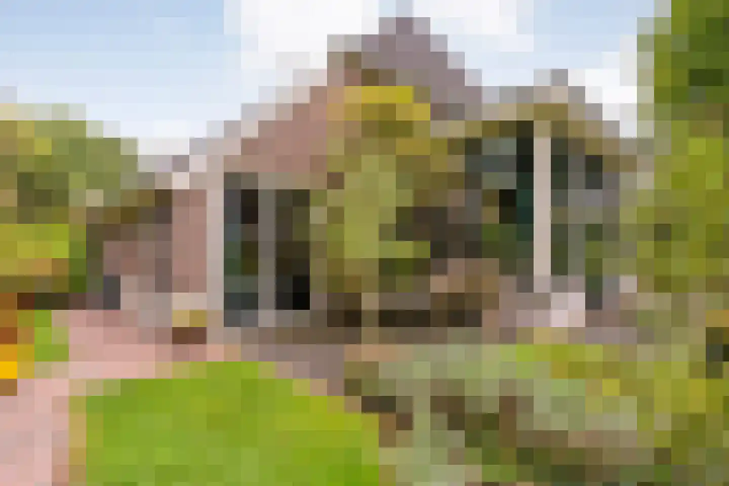 Van Rielstraat 17 Zwolle thumbnail 7