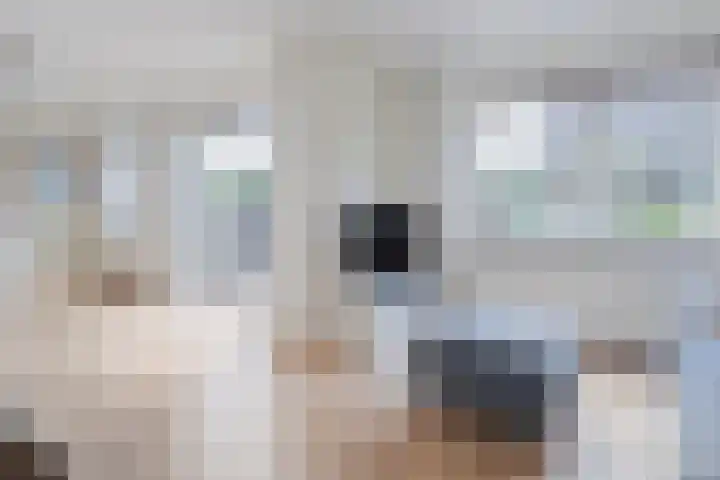 Van Rielstraat 4 Zwolle thumbnail 11