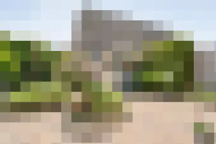 Van Rielstraat 4 Zwolle thumbnail 33