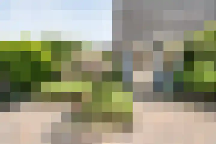 Van Rielstraat 4 Zwolle thumbnail 34
