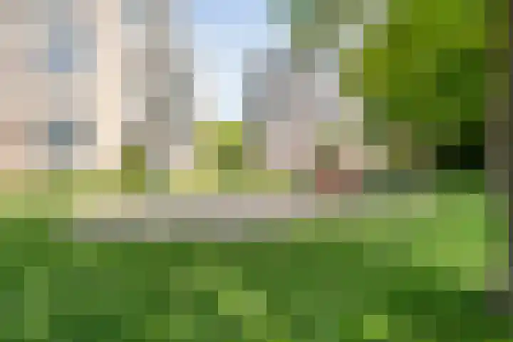 Van Rielstraat 4 Zwolle thumbnail 36