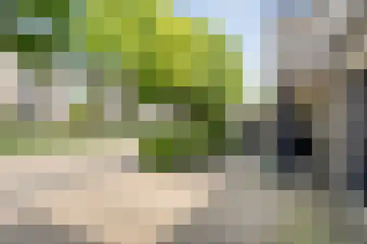 Van Rielstraat 4 Zwolle thumbnail 41