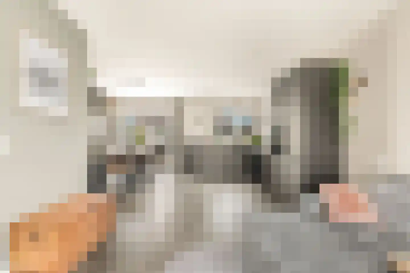 van Riemsdijklaan 1 A Beverwijk thumbnail 13