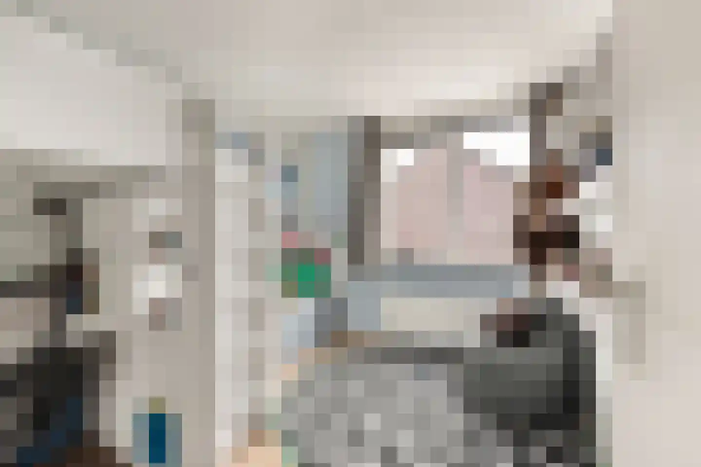 van Riemsdijklaan 1 A Beverwijk thumbnail 20