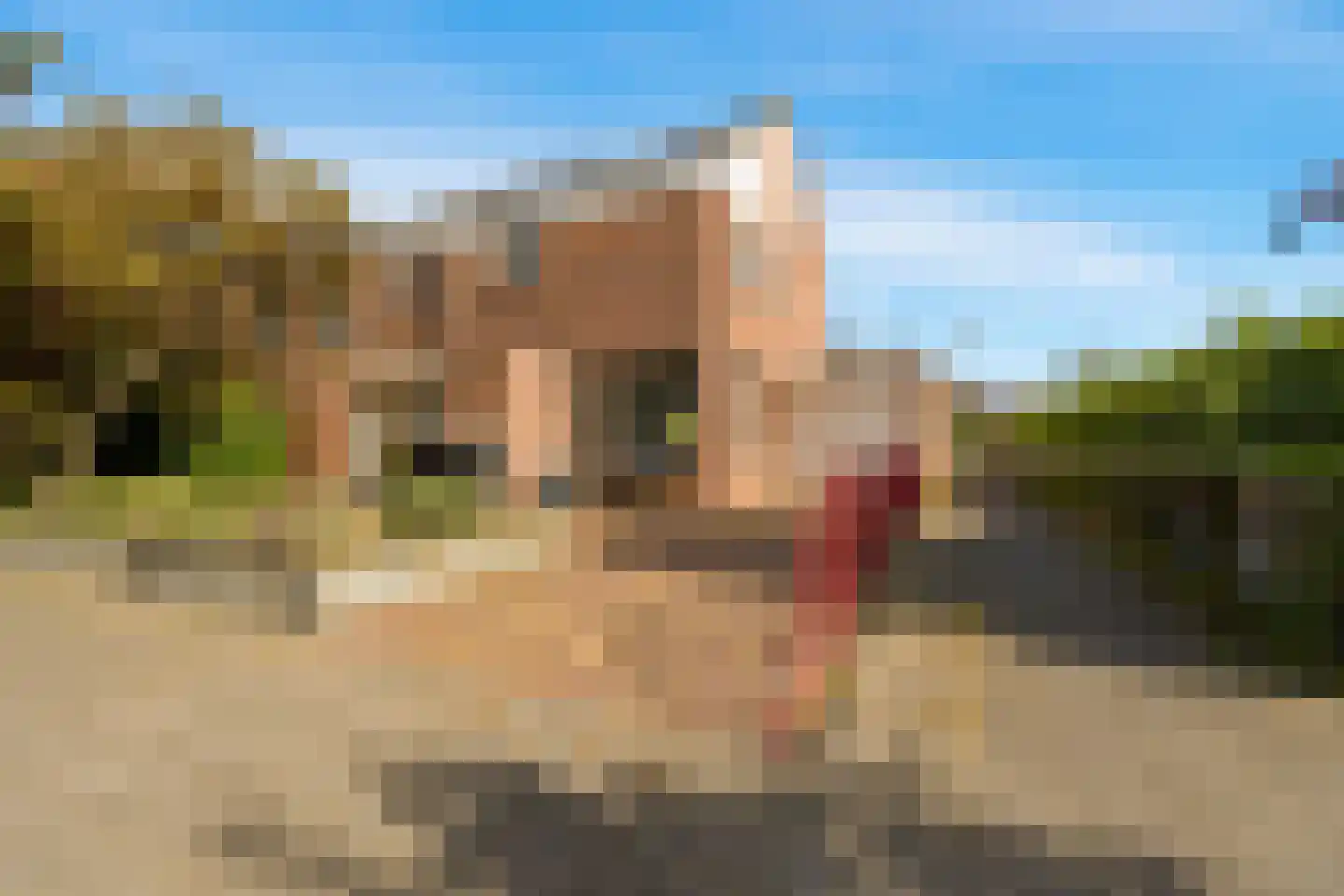van Riemsdijklaan 1 A Beverwijk thumbnail 36