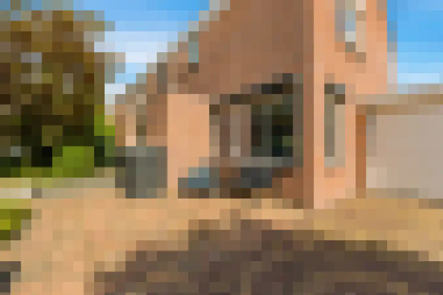 van Riemsdijklaan 1 A Beverwijk thumbnail 37