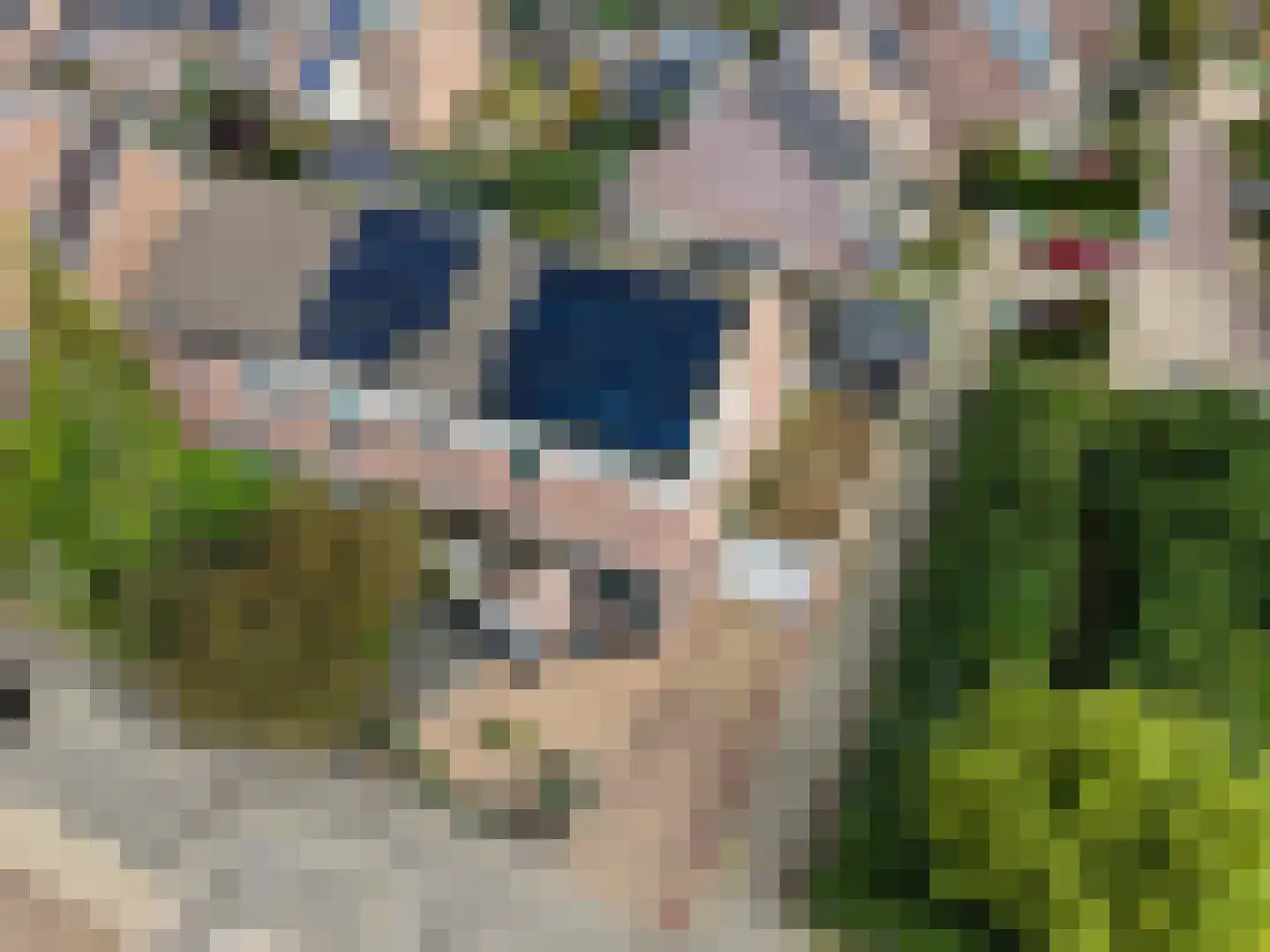 van Riemsdijklaan 1 A Beverwijk thumbnail 38