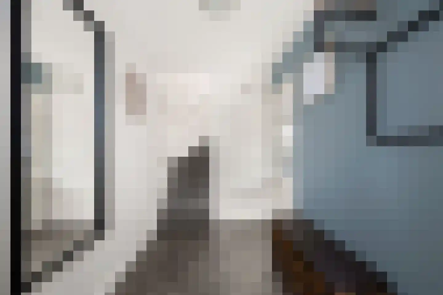 van Riemsdijklaan 1 A Beverwijk thumbnail 9