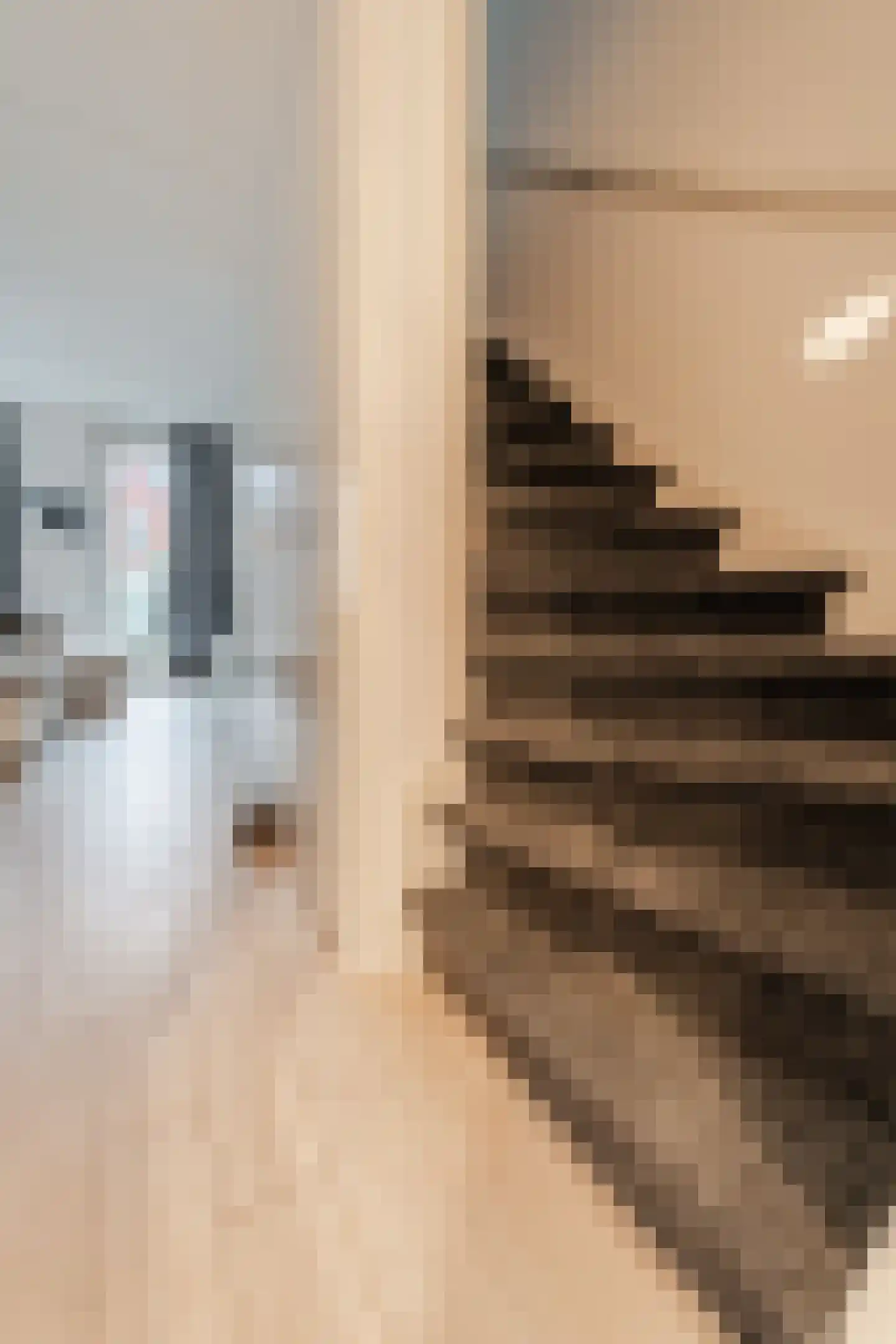 van Riemsdijklaan 123 Beverwijk thumbnail 11