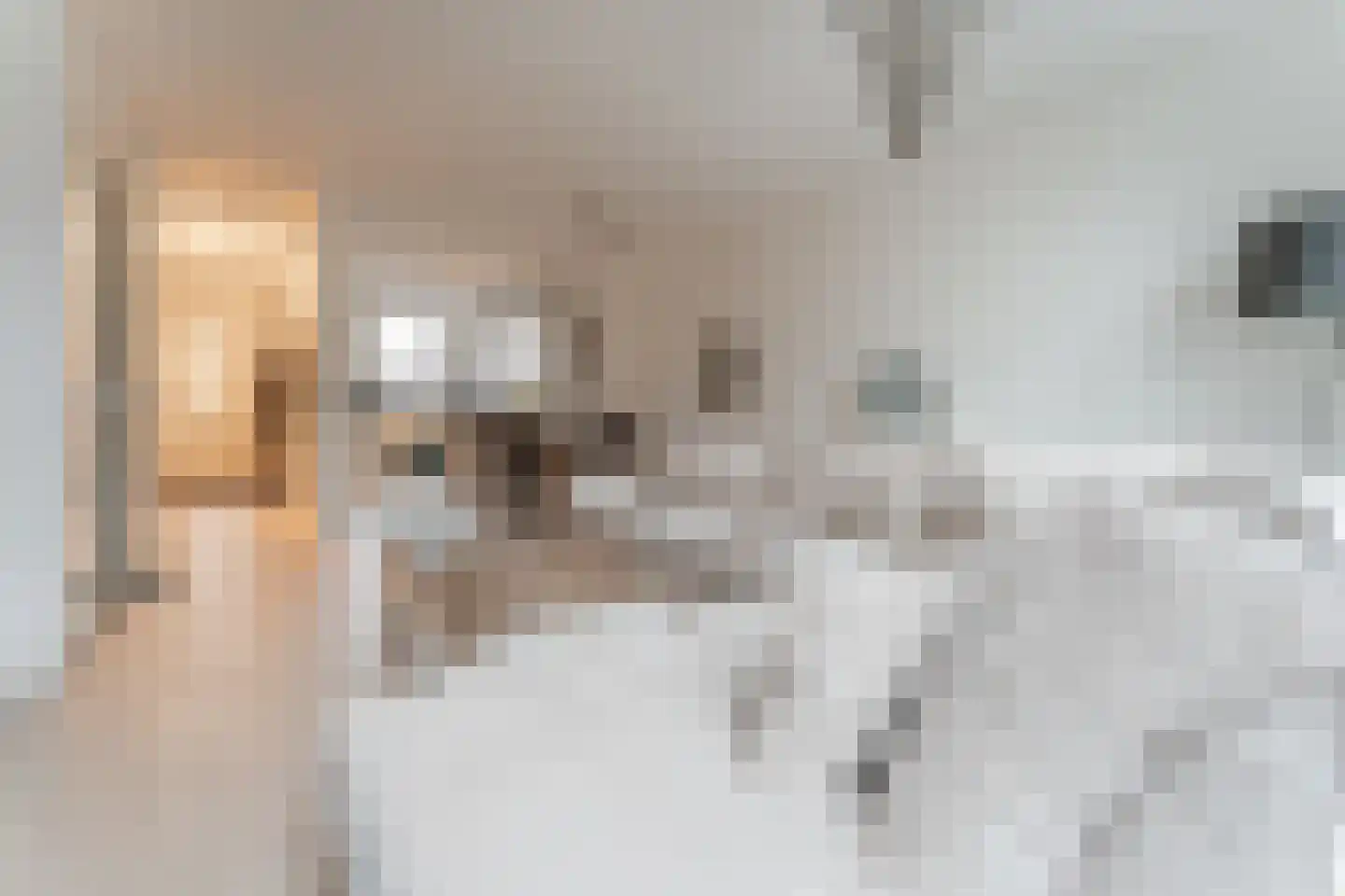 van Riemsdijklaan 123 Beverwijk thumbnail 17
