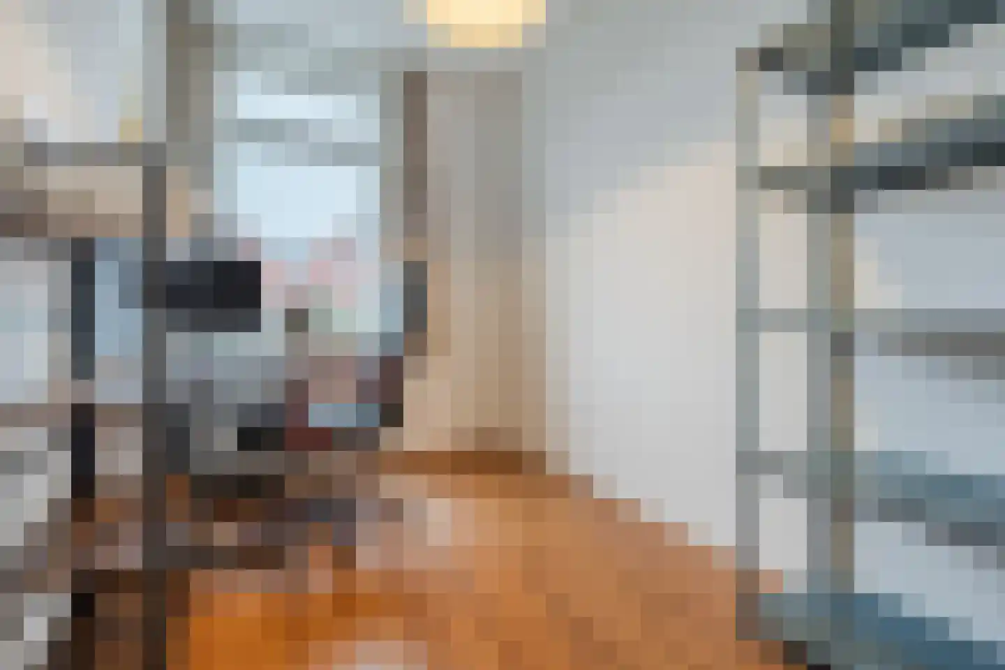 van Riemsdijklaan 123 Beverwijk thumbnail 31