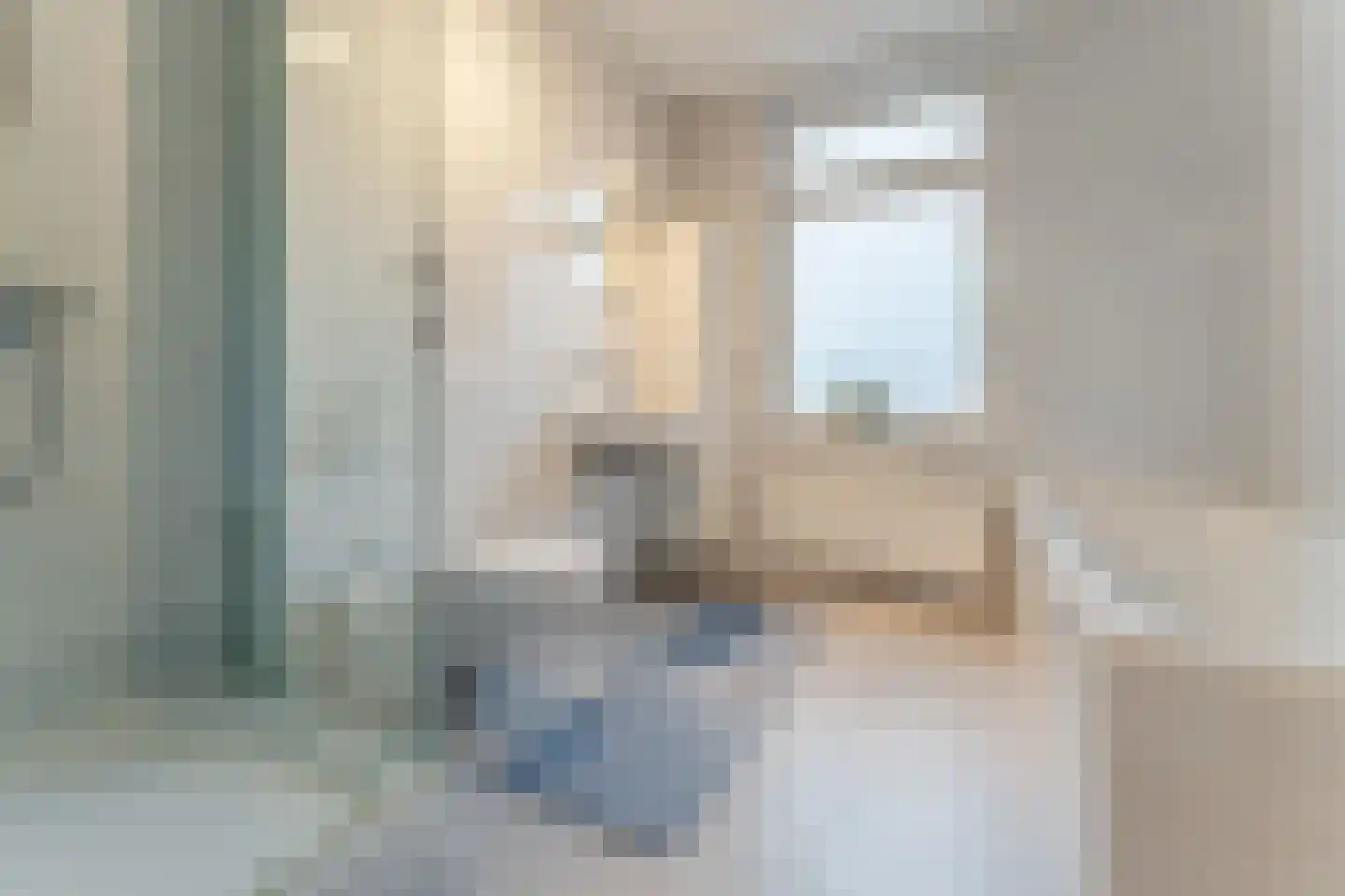 van Riemsdijklaan 123 Beverwijk thumbnail 34