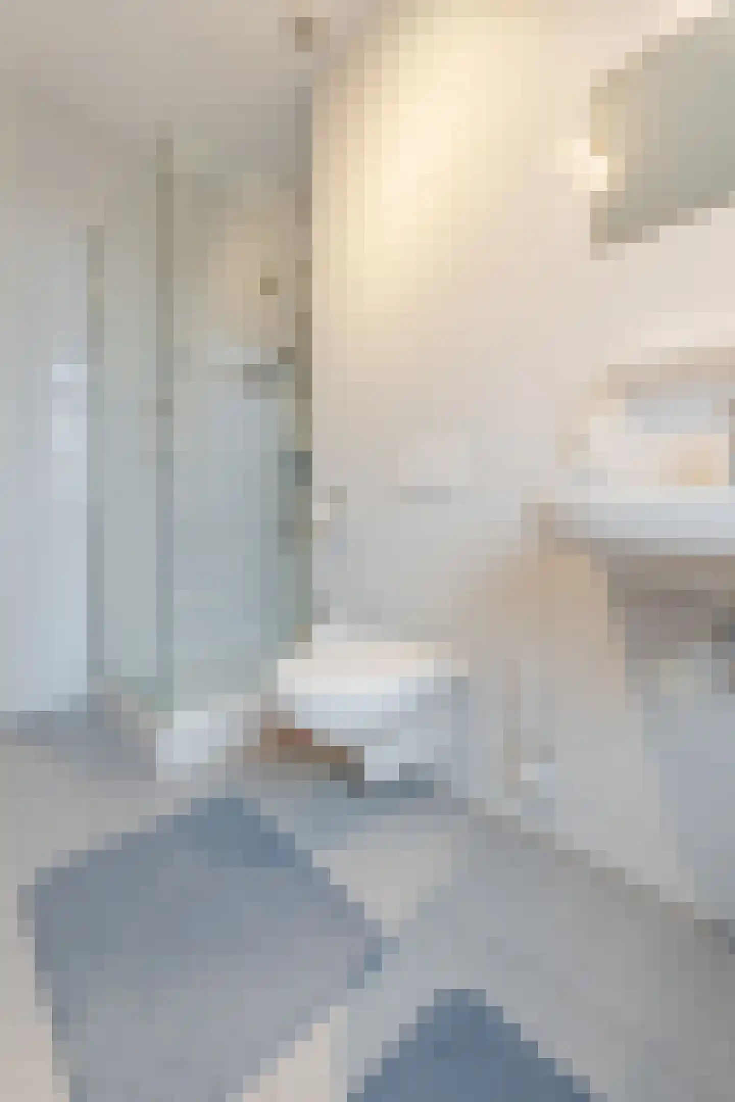 van Riemsdijklaan 123 Beverwijk thumbnail 38
