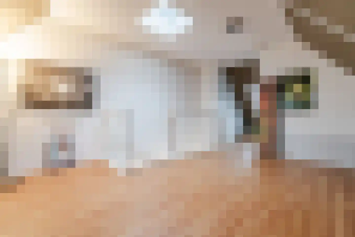 van Riemsdijklaan 123 Beverwijk thumbnail 44