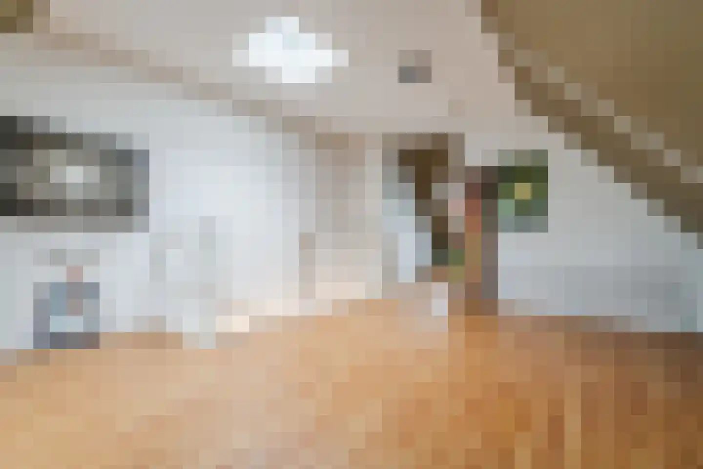 van Riemsdijklaan 123 Beverwijk thumbnail 45