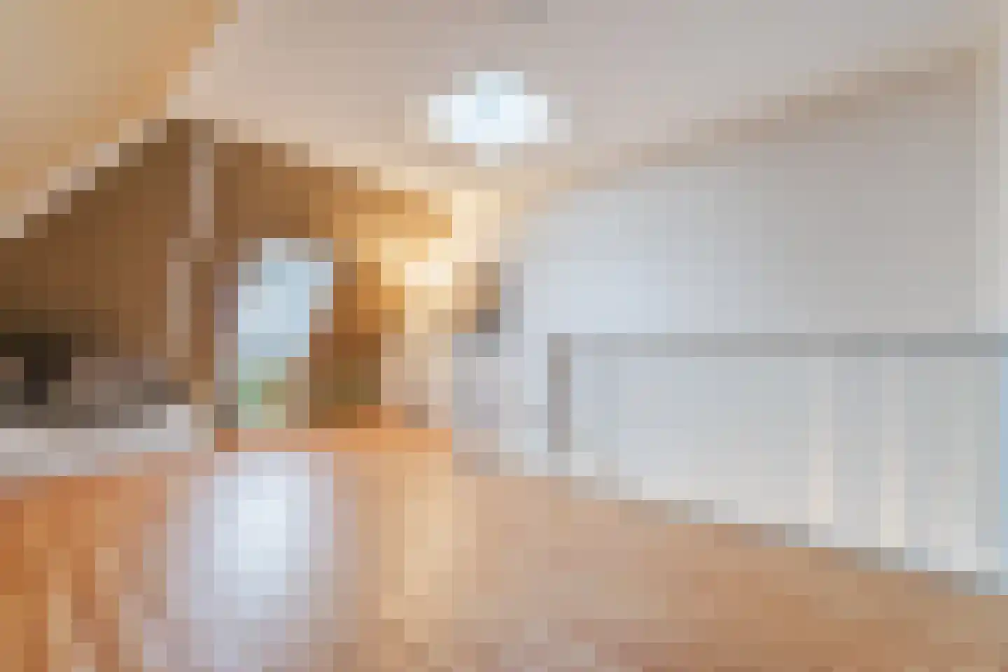 van Riemsdijklaan 123 Beverwijk thumbnail 46