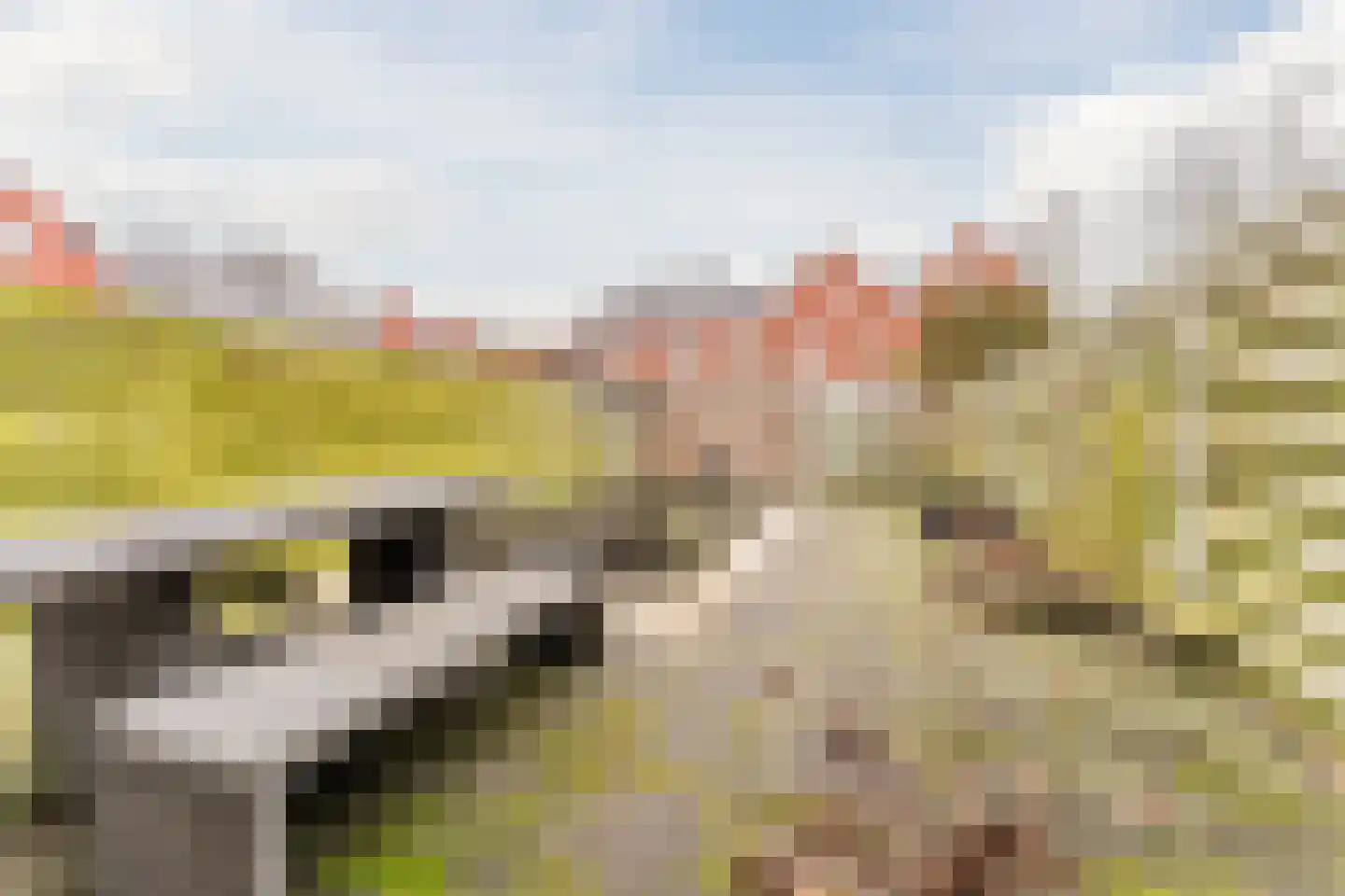 van Riemsdijklaan 123 Beverwijk thumbnail 50