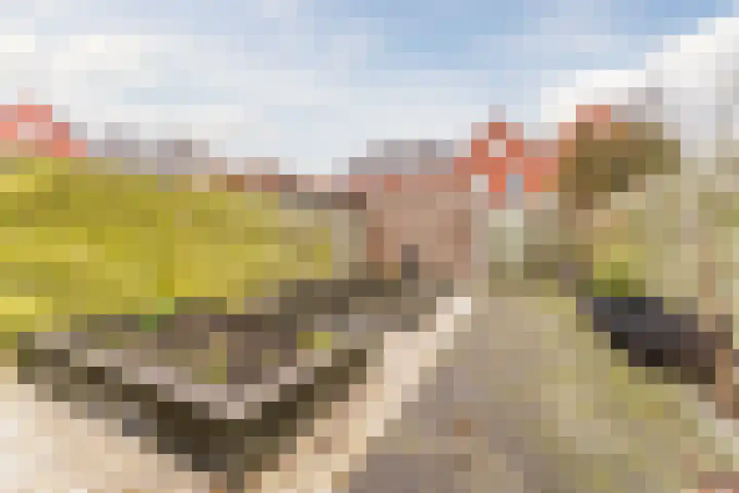 van Riemsdijklaan 123 Beverwijk thumbnail 52