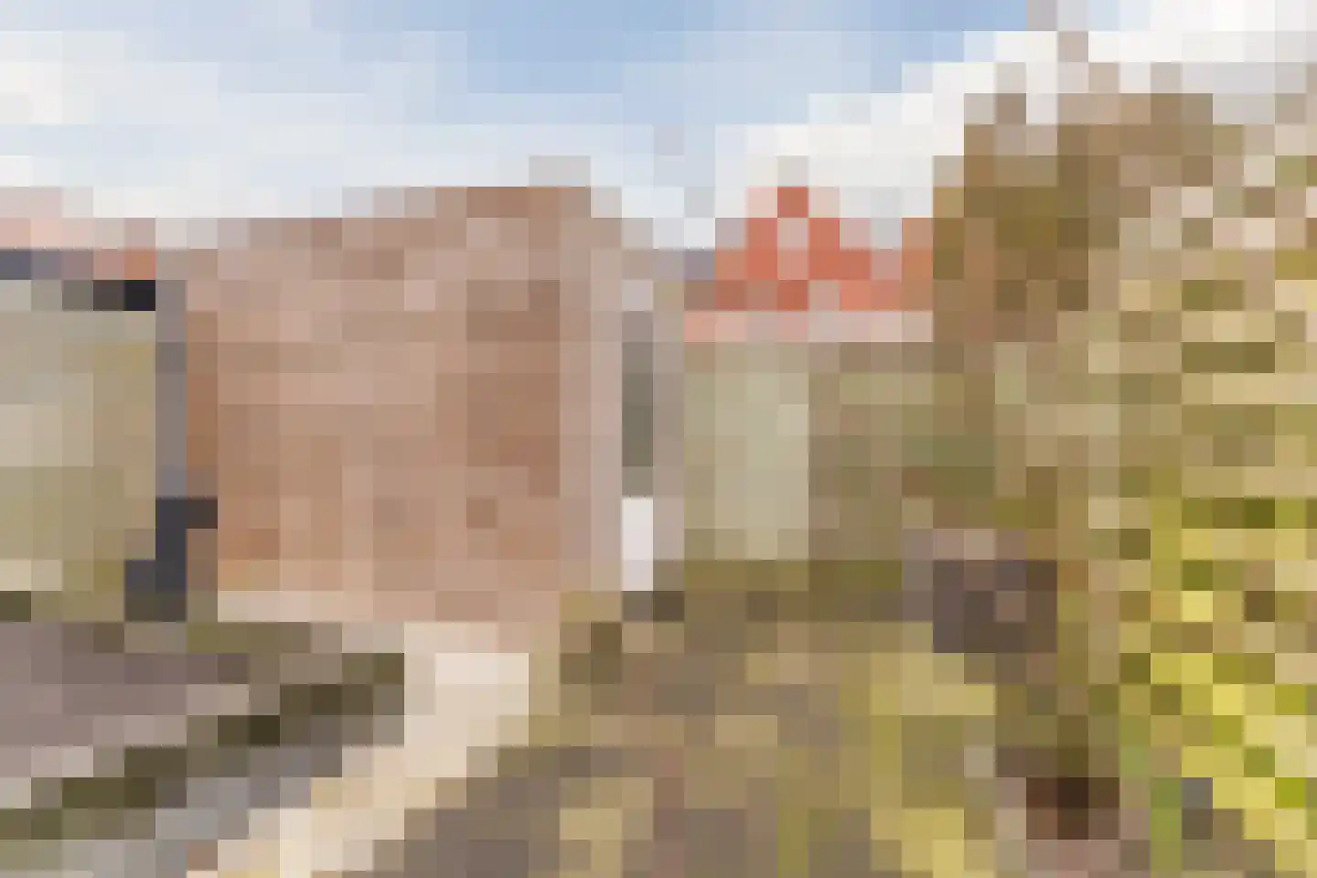 van Riemsdijklaan 123 Beverwijk thumbnail 53