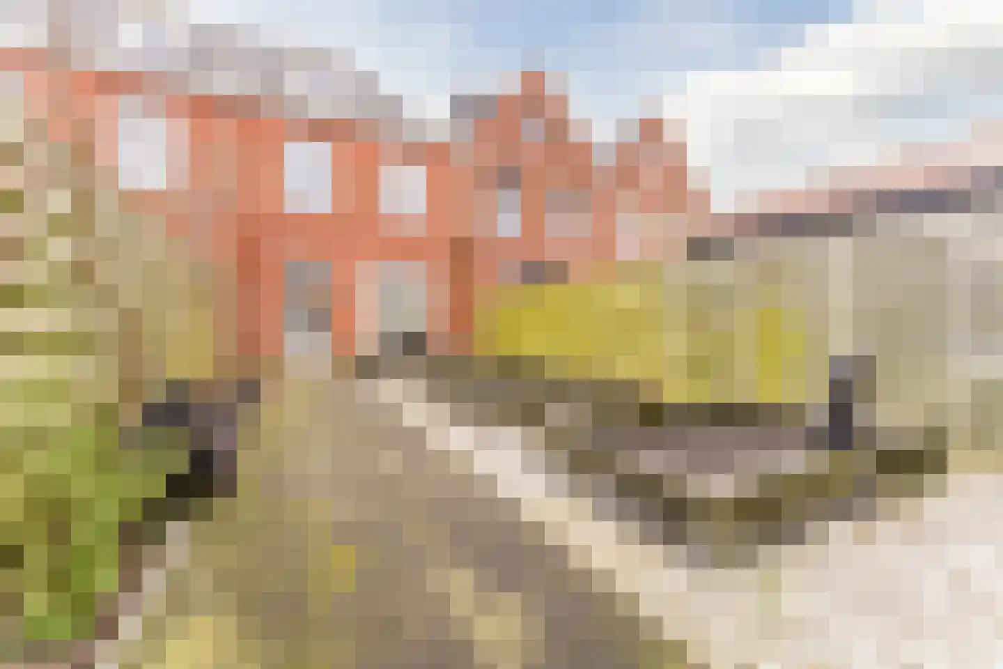van Riemsdijklaan 123 Beverwijk thumbnail 54