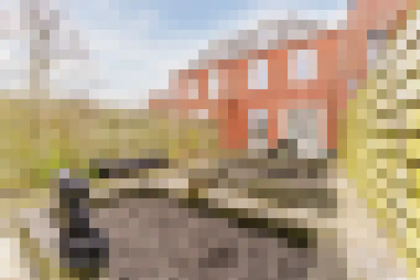van Riemsdijklaan 123 Beverwijk thumbnail 55