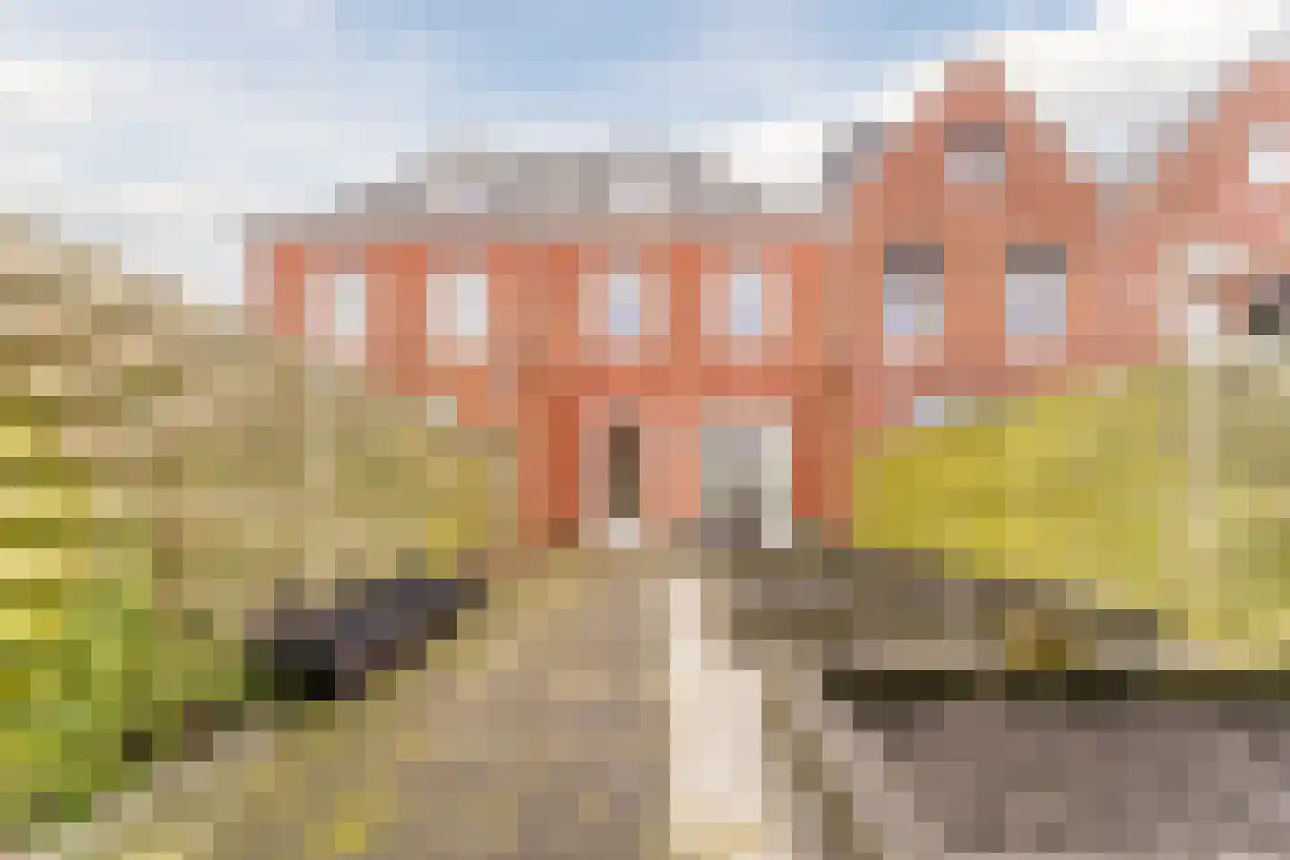 van Riemsdijklaan 123 Beverwijk thumbnail 56