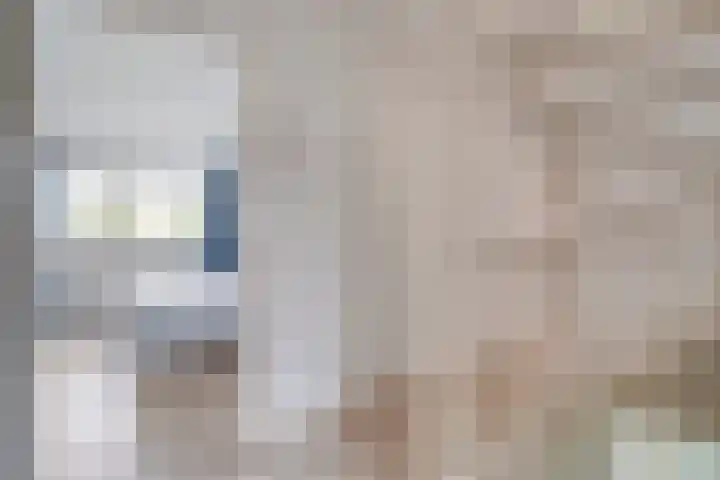 Van Riemsdijkmarke 5 Zwolle thumbnail 10