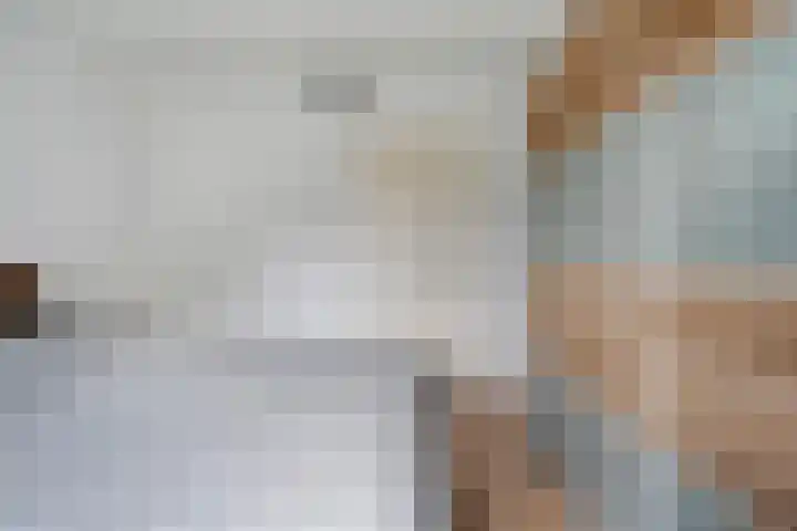 Van Riemsdijkmarke 5 Zwolle thumbnail 13