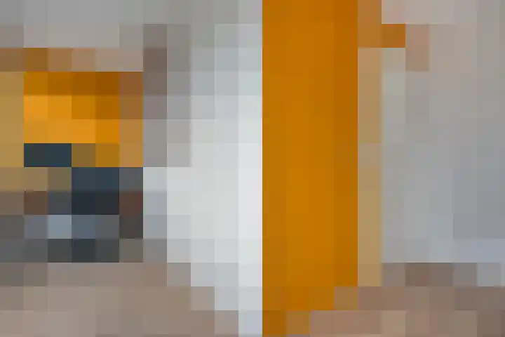 Van Riemsdijkmarke 5 Zwolle thumbnail 23