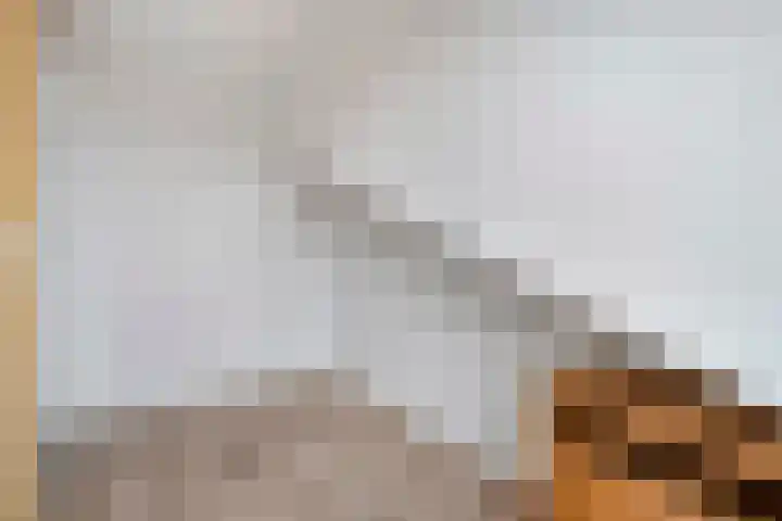 Van Riemsdijkmarke 5 Zwolle thumbnail 25