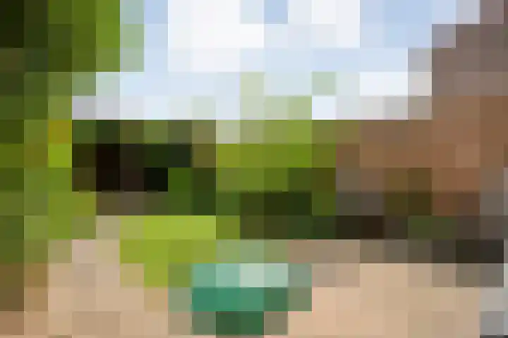 Van Riemsdijkmarke 5 Zwolle thumbnail 26