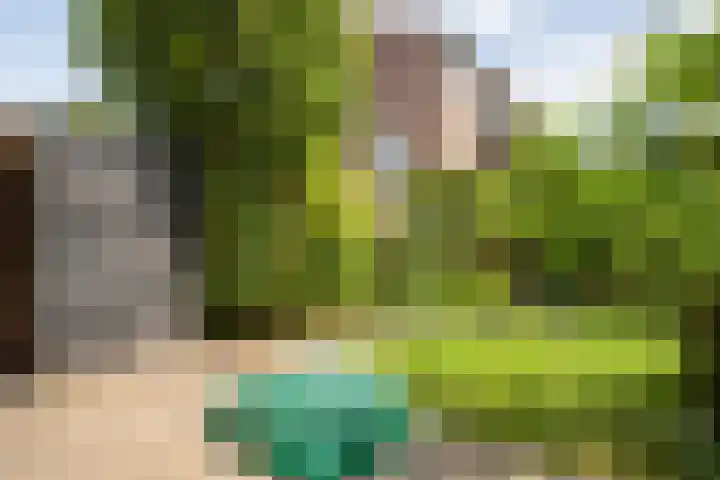 Van Riemsdijkmarke 5 Zwolle thumbnail 27