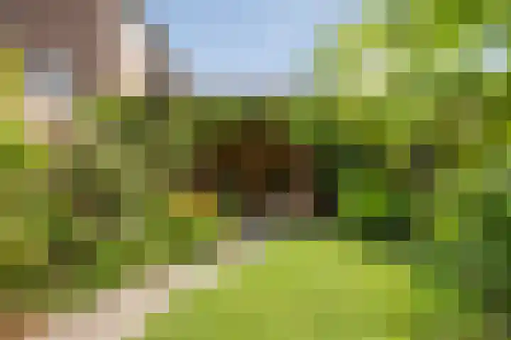 Van Riemsdijkmarke 5 Zwolle thumbnail 28