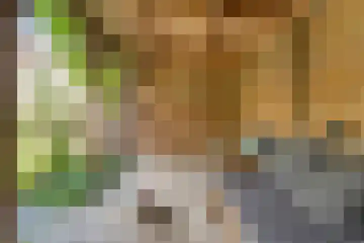 Van Riemsdijkmarke 5 Zwolle thumbnail 30