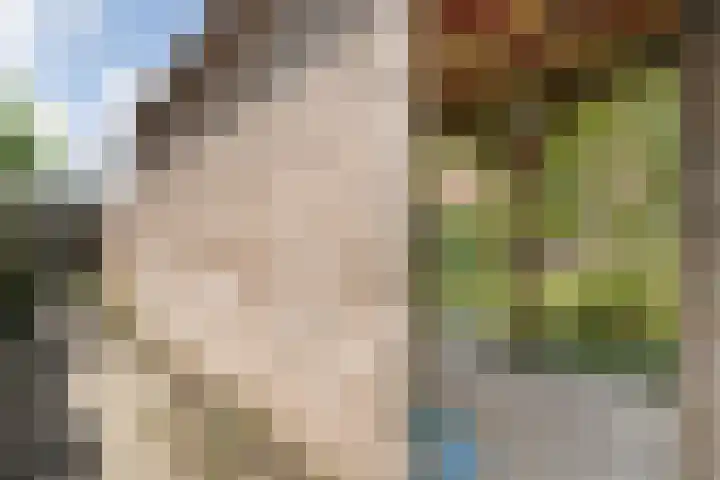 Van Riemsdijkmarke 5 Zwolle thumbnail 31