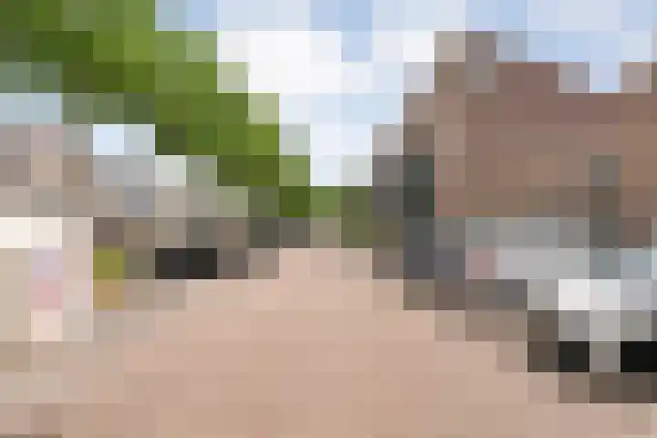 Van Riemsdijkmarke 5 Zwolle thumbnail 34