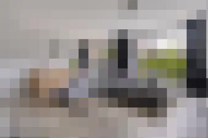 Van Riemsdijkmarke 5 Zwolle thumbnail 4
