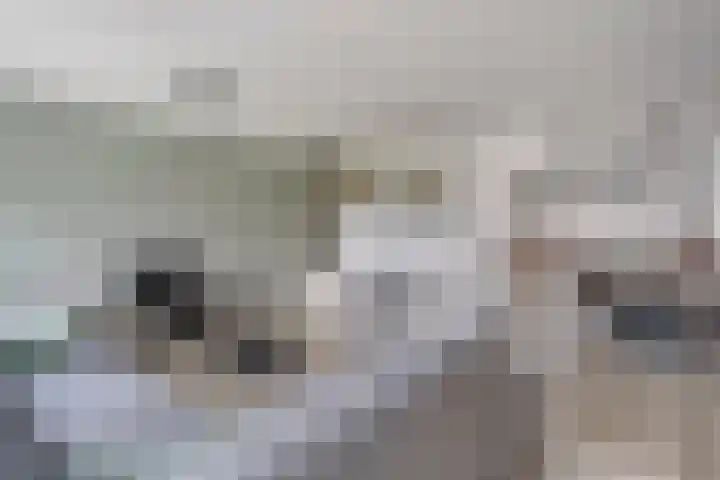 Van Riemsdijkmarke 5 Zwolle thumbnail 5