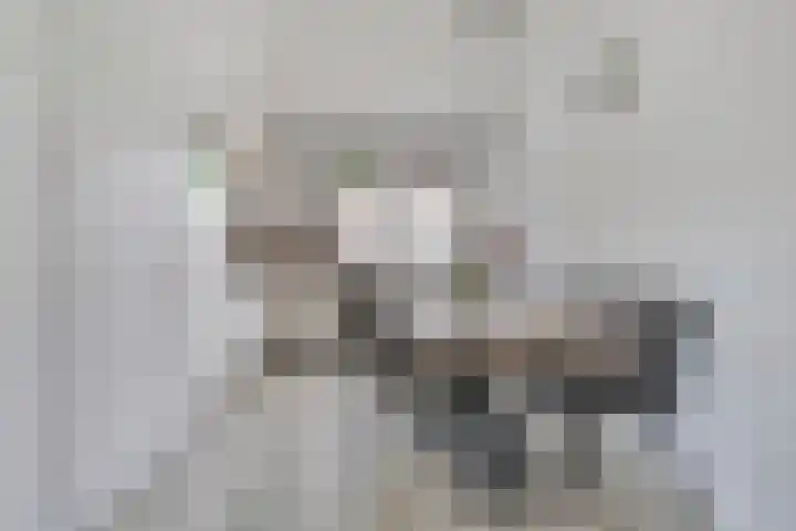 Van Riemsdijkmarke 5 Zwolle thumbnail 7