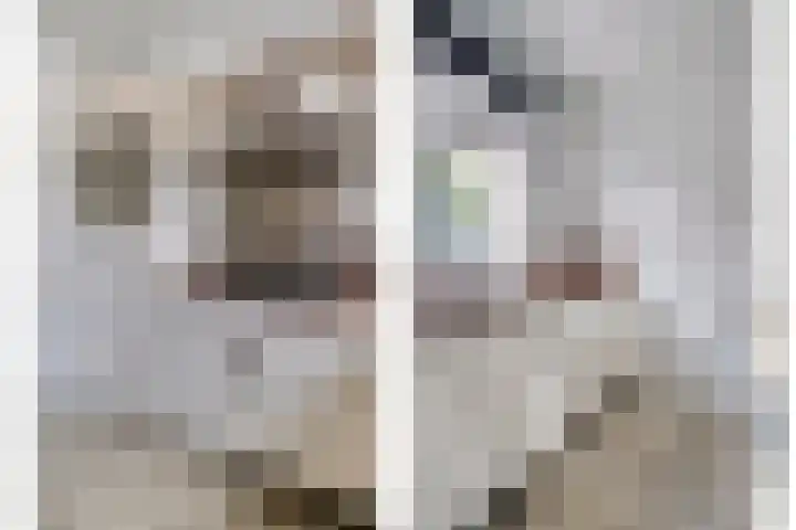 Van Riemsdijkmarke 5 Zwolle thumbnail 9
