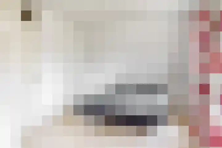 van Rietlaan 4 Linschoten thumbnail 22
