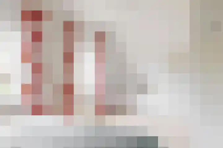 van Rietlaan 4 Linschoten thumbnail 23