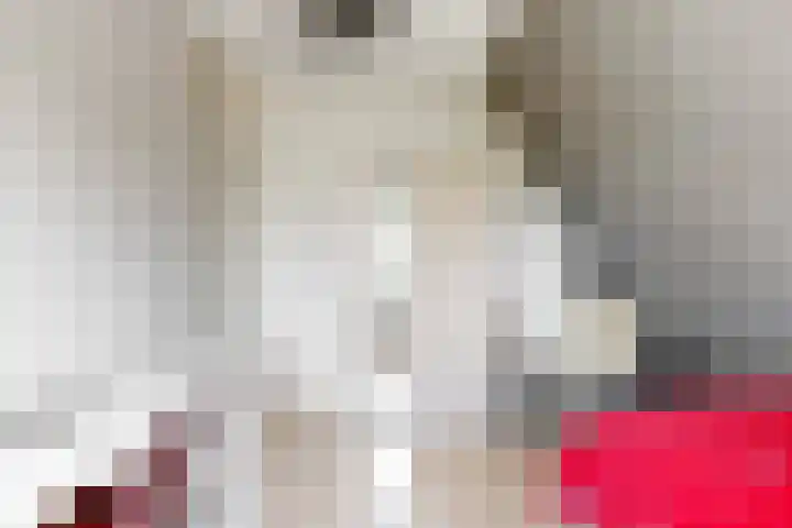 van Rietlaan 4 Linschoten thumbnail 28