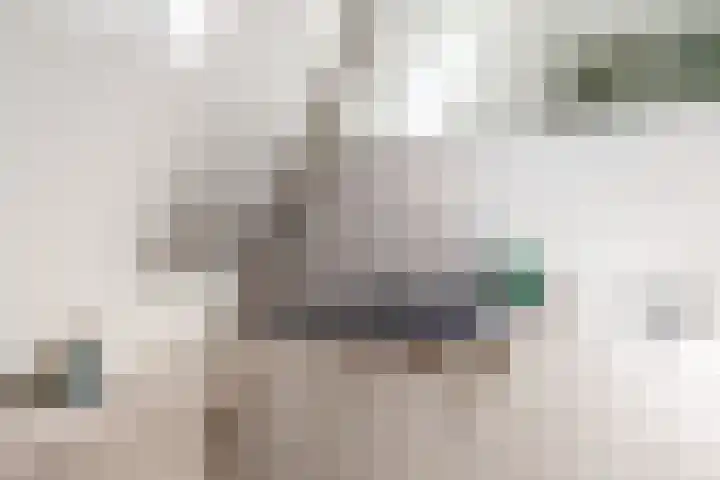 van Rietlaan 4 Linschoten thumbnail 29