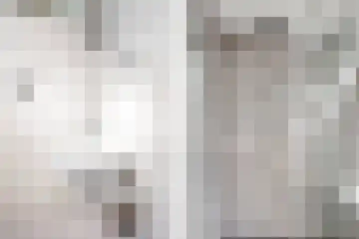 van Rietlaan 4 Linschoten thumbnail 32