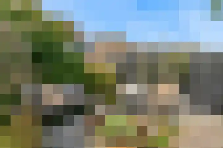 van Rietlaan 4 Linschoten thumbnail 38