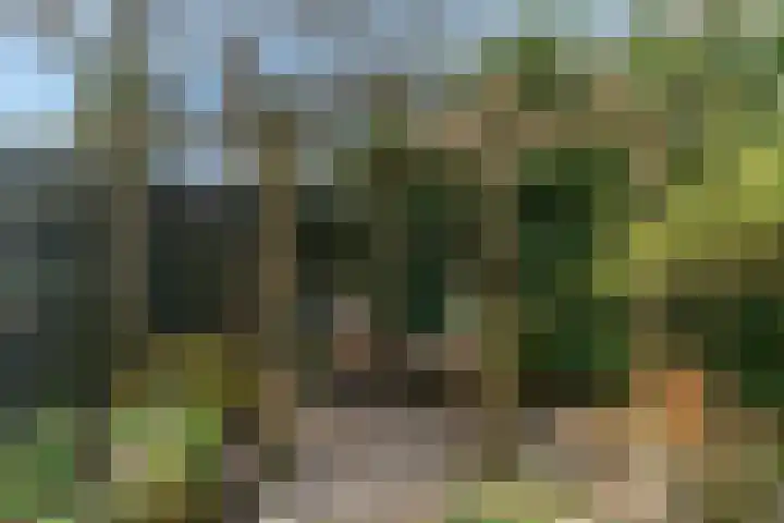 van Rietlaan 4 Linschoten thumbnail 39