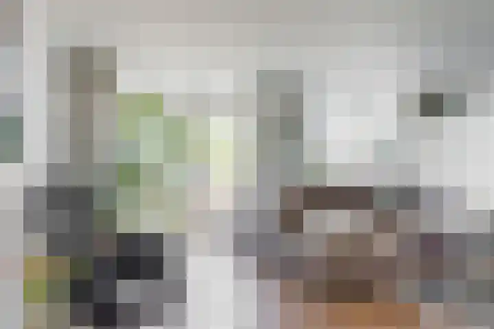 van Rietlaan 4 Linschoten thumbnail 4